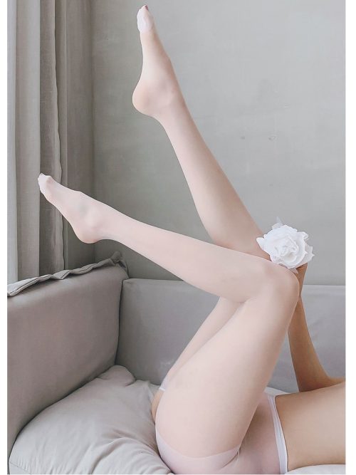 An erotic and sexy Sheer Lace Crotchless Tights