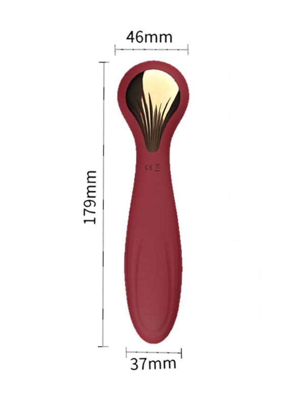 Rocking Sucking Vibrator-01 Rocking Sucking Vibrator