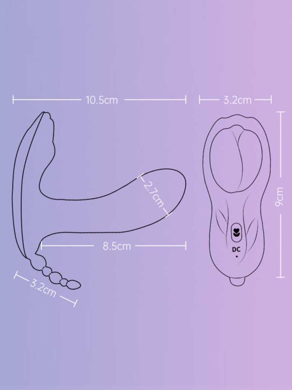 Vibrating Double Penetration Vibrator-03 Vibrating Double Penetration Vibrator