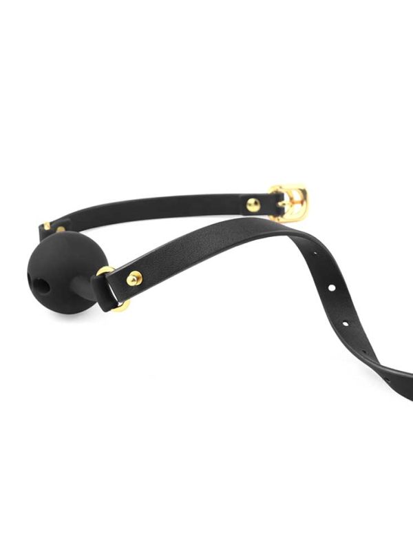 Hollow Gag-02 Hollow Gag