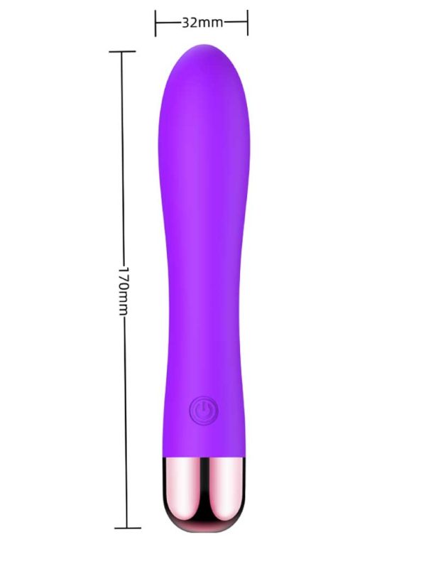 Min Vibrator-01 Min Vibrator
