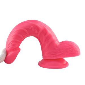 Prism Pleasures Silicone Dildo