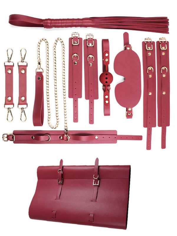 Discover the Control Bondage Set - 6 pcs, expertly crafted for those looking to delve into the exciting world of bondage with style and safety.