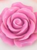 DARK PINK