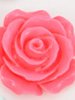 ROSE RED