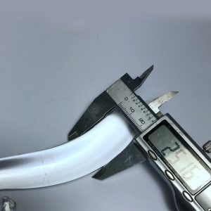 Seahorse Love Anal Plug
