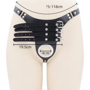 Male chastity lock designed for control and restraint, featuring a secure and discreet design