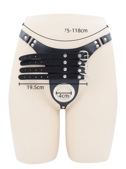 Male chastity lock designed for control and restraint, featuring a secure and discreet design