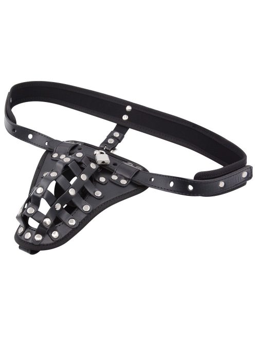 Dildo restraint featuring studs