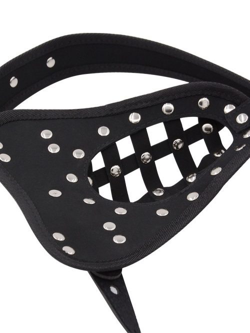 Dildo restraint featuring studs