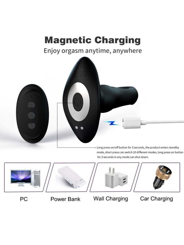 A vibrating anal plug with a swinging motion feature, designed to deliver dynamic movement and stimulating sensations for an exhilarating experience